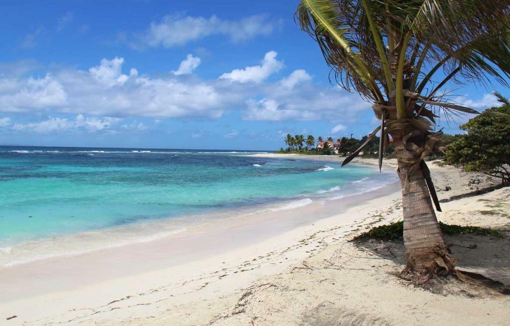 Les Marines Kazatibo Apartment Saint-Francois  Luaran gambar